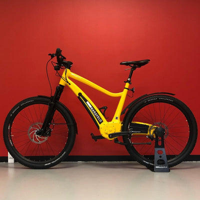 Rent a Maravelo ebike